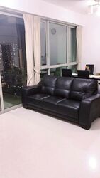 The Riverine By The Park (D12), Apartment #508388961